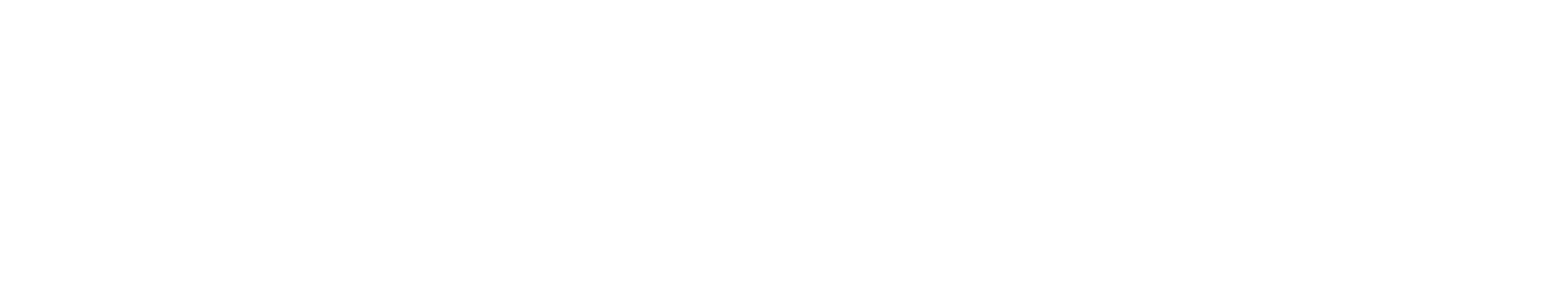 TeamTIS